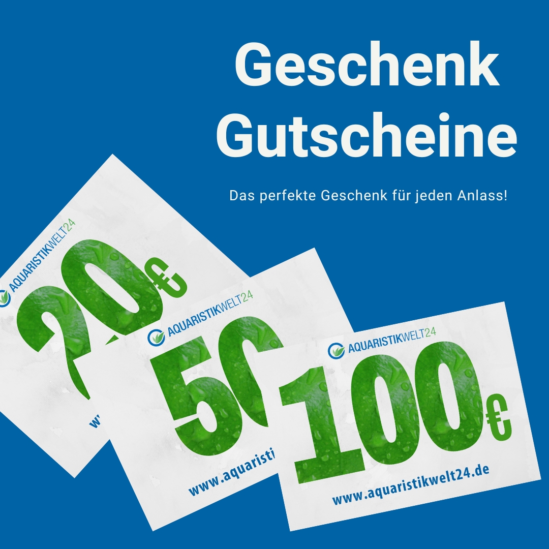 Gutscheine